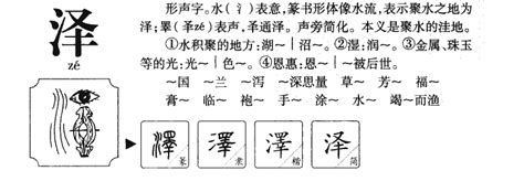 泽的五行|泽的五行属什么,泽字的五行属性,泽的寓意